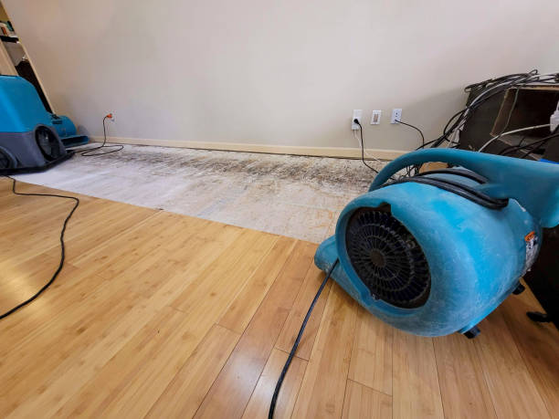 Professional Ceiling Water Damage Repair technician working in Cordova, TN